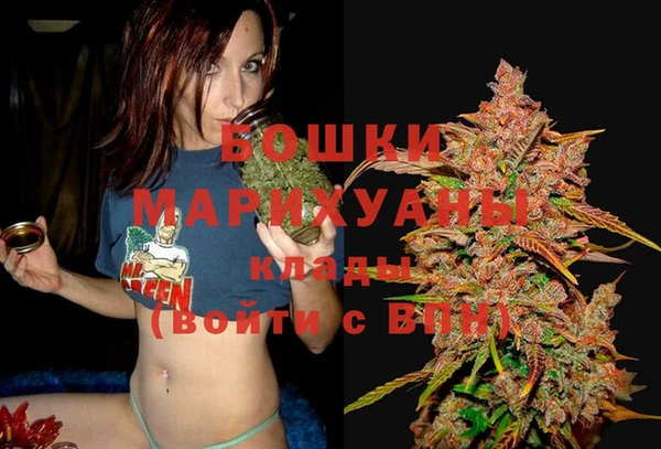 ALPHA-PVP Инта