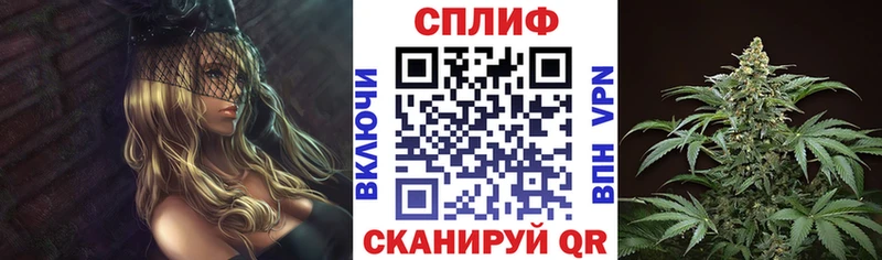 Купить где  Судогда  Канабис THC 21% 